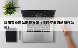 乐清沈阳专业网站制作方案（沈阳专业网站制作公司）